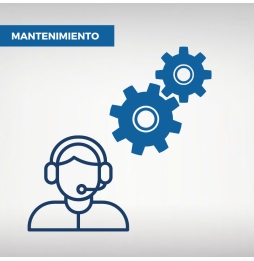 Mantenimiento Informático Profesional