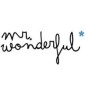 MR WONDERFUL